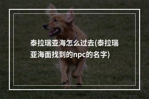 泰拉瑞亚海怎么过去(泰拉瑞亚海面找到的npc的名字)