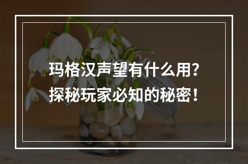 玛格汉声望有什么用？探秘玩家必知的秘密！