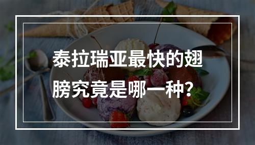 泰拉瑞亚最快的翅膀究竟是哪一种？