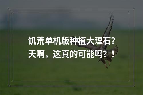 饥荒单机版种植大理石？天啊，这真的可能吗？！