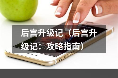 后宫升级记（后宫升级记：攻略指南）