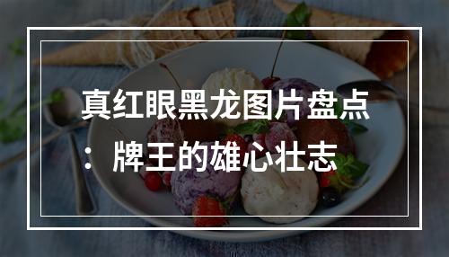 真红眼黑龙图片盘点：牌王的雄心壮志