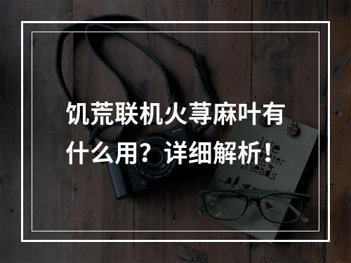 饥荒联机火荨麻叶有什么用？详细解析！