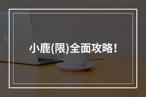 小鹿(限)全面攻略！