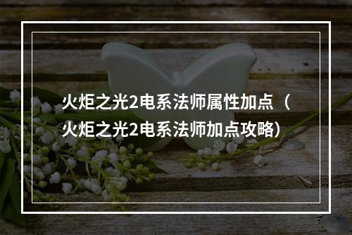 火炬之光2电系法师属性加点（火炬之光2电系法师加点攻略）