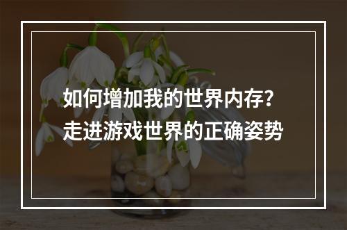 如何增加我的世界内存？走进游戏世界的正确姿势