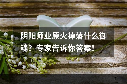 阴阳师业原火掉落什么御魂？专家告诉你答案！