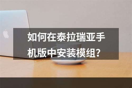 如何在泰拉瑞亚手机版中安装模组？