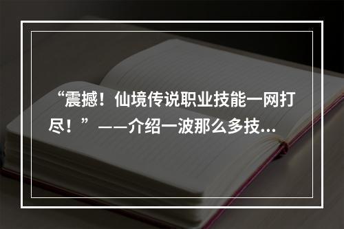 “震撼！仙境传说职业技能一网打尽！”——介绍一波那么多技能，你能hold住吗？