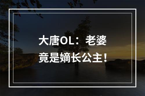 大唐OL：老婆竟是嫡长公主！