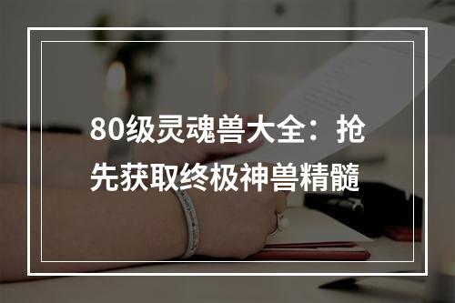 80级灵魂兽大全：抢先获取终极神兽精髓