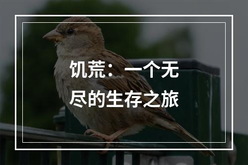 饥荒：一个无尽的生存之旅