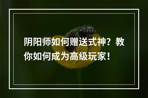 阴阳师如何赠送式神？教你如何成为高级玩家！