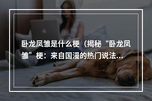 卧龙凤雏是什么梗（揭秘“卧龙凤雏”梗：来自国漫的热门说法）