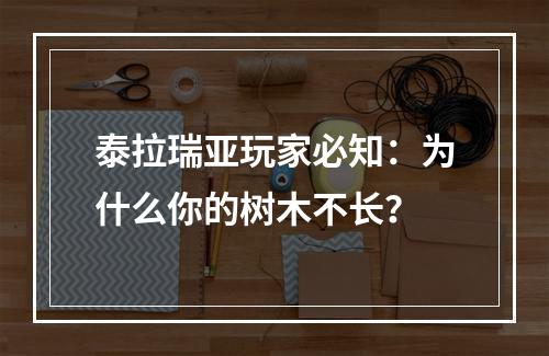 泰拉瑞亚玩家必知：为什么你的树木不长？