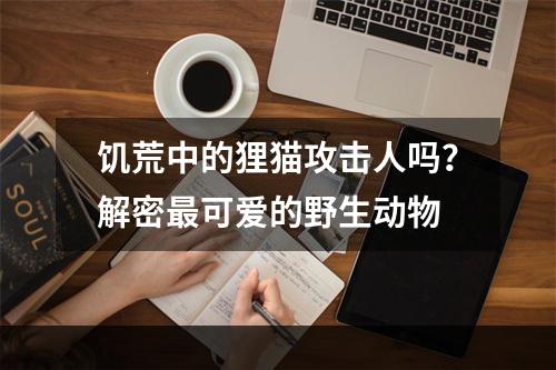 饥荒中的狸猫攻击人吗？解密最可爱的野生动物