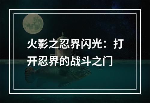 火影之忍界闪光：打开忍界的战斗之门