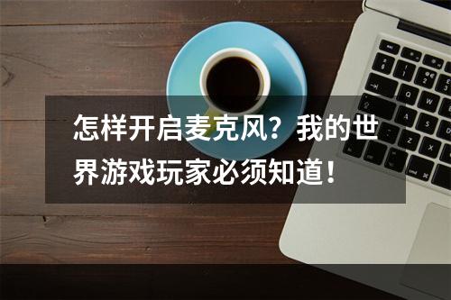 怎样开启麦克风？我的世界游戏玩家必须知道！