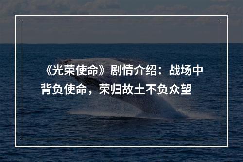 《光荣使命》剧情介绍：战场中背负使命，荣归故土不负众望