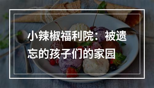 小辣椒福利院：被遗忘的孩子们的家园