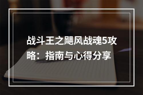 战斗王之飓风战魂5攻略：指南与心得分享