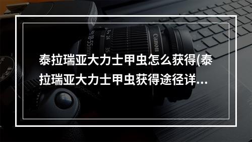 泰拉瑞亚大力士甲虫怎么获得(泰拉瑞亚大力士甲虫获得途径详解)