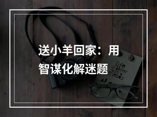 送小羊回家：用智谋化解迷题