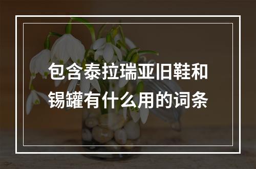 包含泰拉瑞亚旧鞋和锡罐有什么用的词条