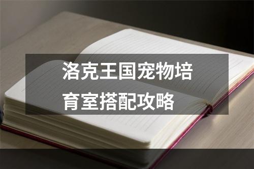 洛克王国宠物培育室搭配攻略