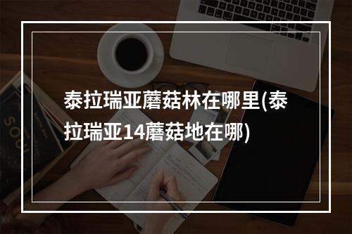 泰拉瑞亚蘑菇林在哪里(泰拉瑞亚14蘑菇地在哪)