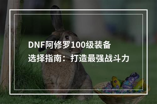 DNF阿修罗100级装备选择指南：打造最强战斗力