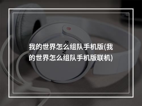 我的世界怎么组队手机版(我的世界怎么组队手机版联机)