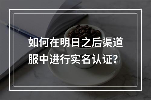 如何在明日之后渠道服中进行实名认证？