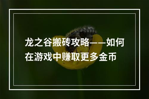 龙之谷搬砖攻略——如何在游戏中赚取更多金币