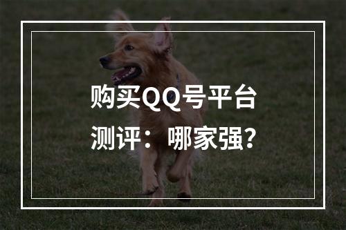 购买QQ号平台测评：哪家强？