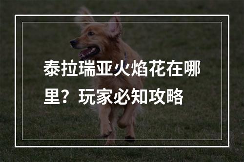 泰拉瑞亚火焰花在哪里？玩家必知攻略