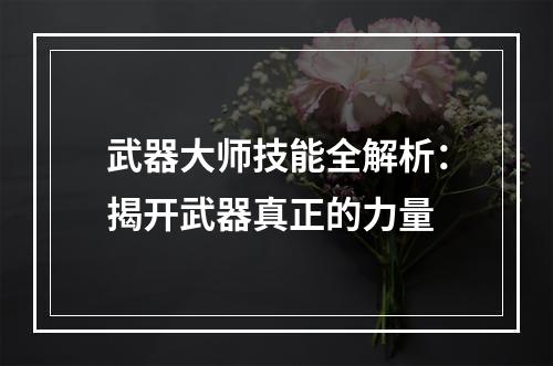 武器大师技能全解析：揭开武器真正的力量