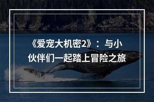 《爱宠大机密2》：与小伙伴们一起踏上冒险之旅