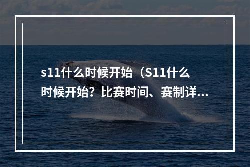 s11什么时候开始（S11什么时候开始？比赛时间、赛制详解）