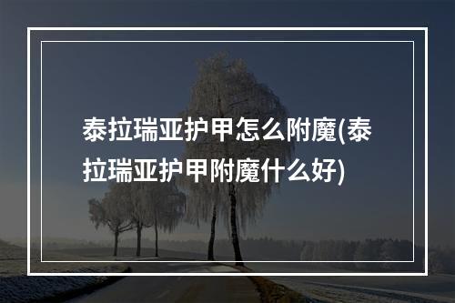 泰拉瑞亚护甲怎么附魔(泰拉瑞亚护甲附魔什么好)