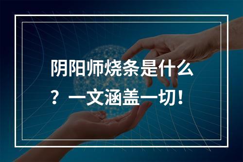 阴阳师烧条是什么？一文涵盖一切！