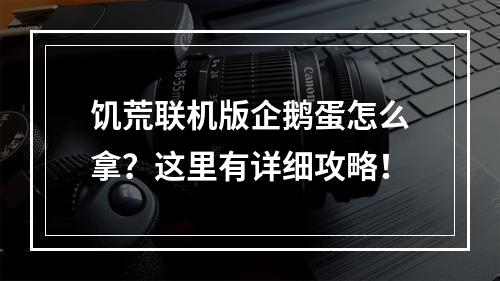 饥荒联机版企鹅蛋怎么拿？这里有详细攻略！