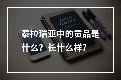 泰拉瑞亚中的贡品是什么？长什么样？