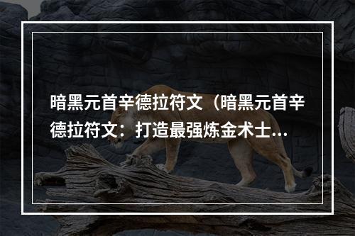 暗黑元首辛德拉符文（暗黑元首辛德拉符文：打造最强炼金术士）