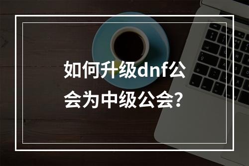 如何升级dnf公会为中级公会？