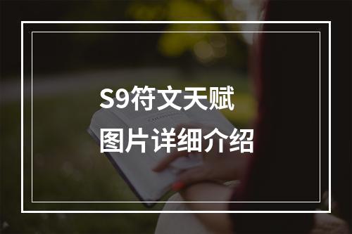 S9符文天赋图片详细介绍