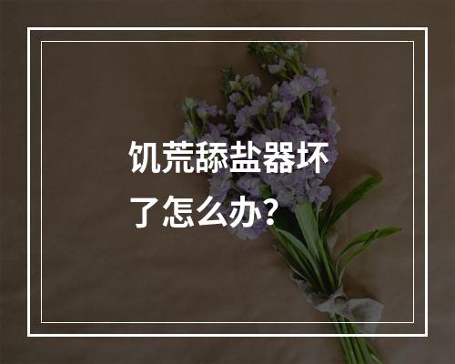 饥荒舔盐器坏了怎么办？