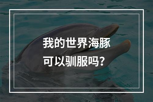 我的世界海豚可以驯服吗？