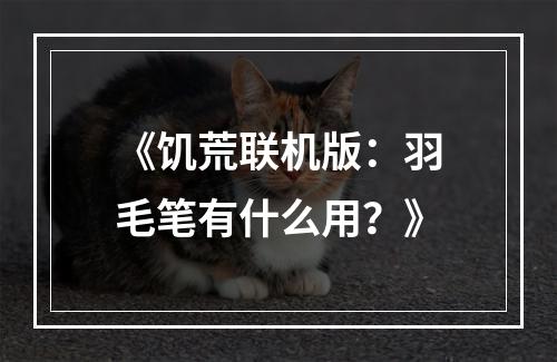 《饥荒联机版：羽毛笔有什么用？》