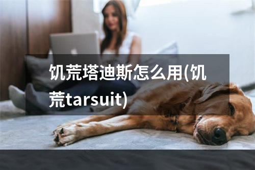 饥荒塔迪斯怎么用(饥荒tarsuit)